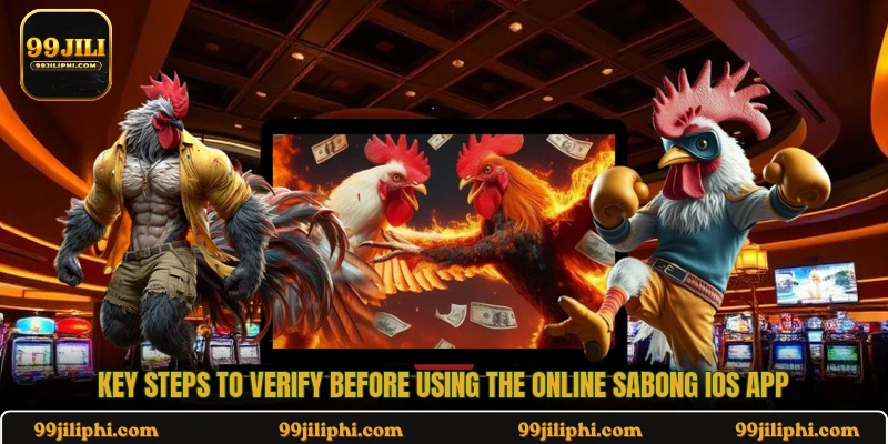 Key steps to verify before using the online sabong iOS app